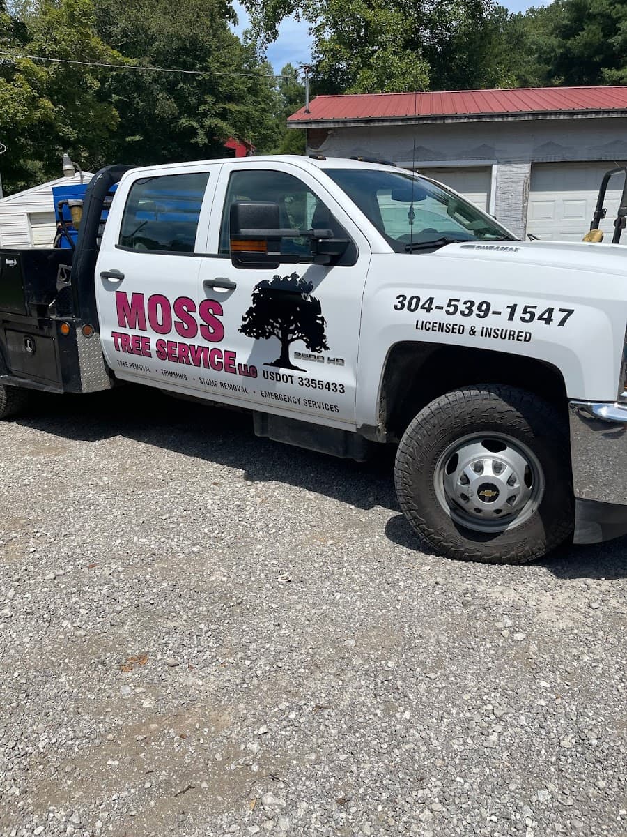Moss Tree Service, LLC