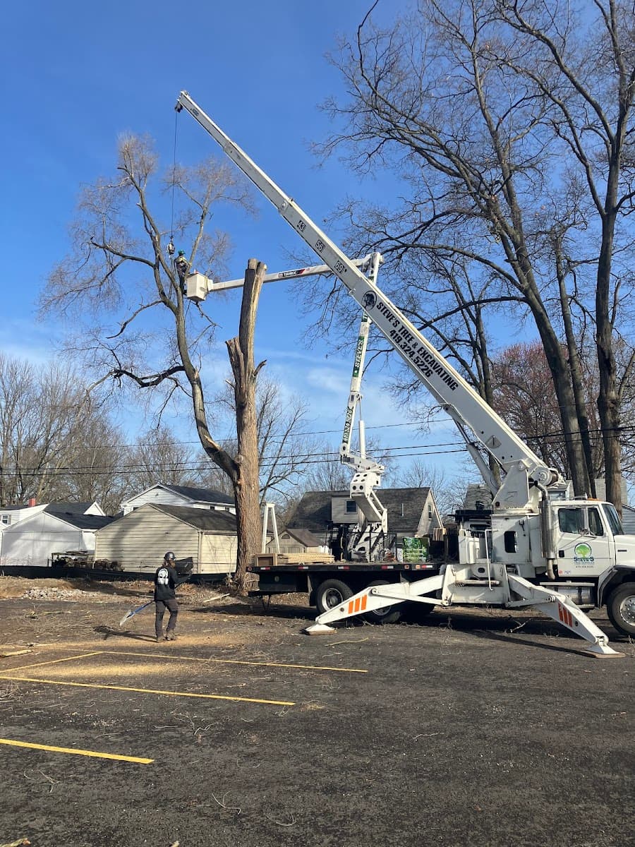 Steve's Tree Services, Landscape, Hauling & Excavating