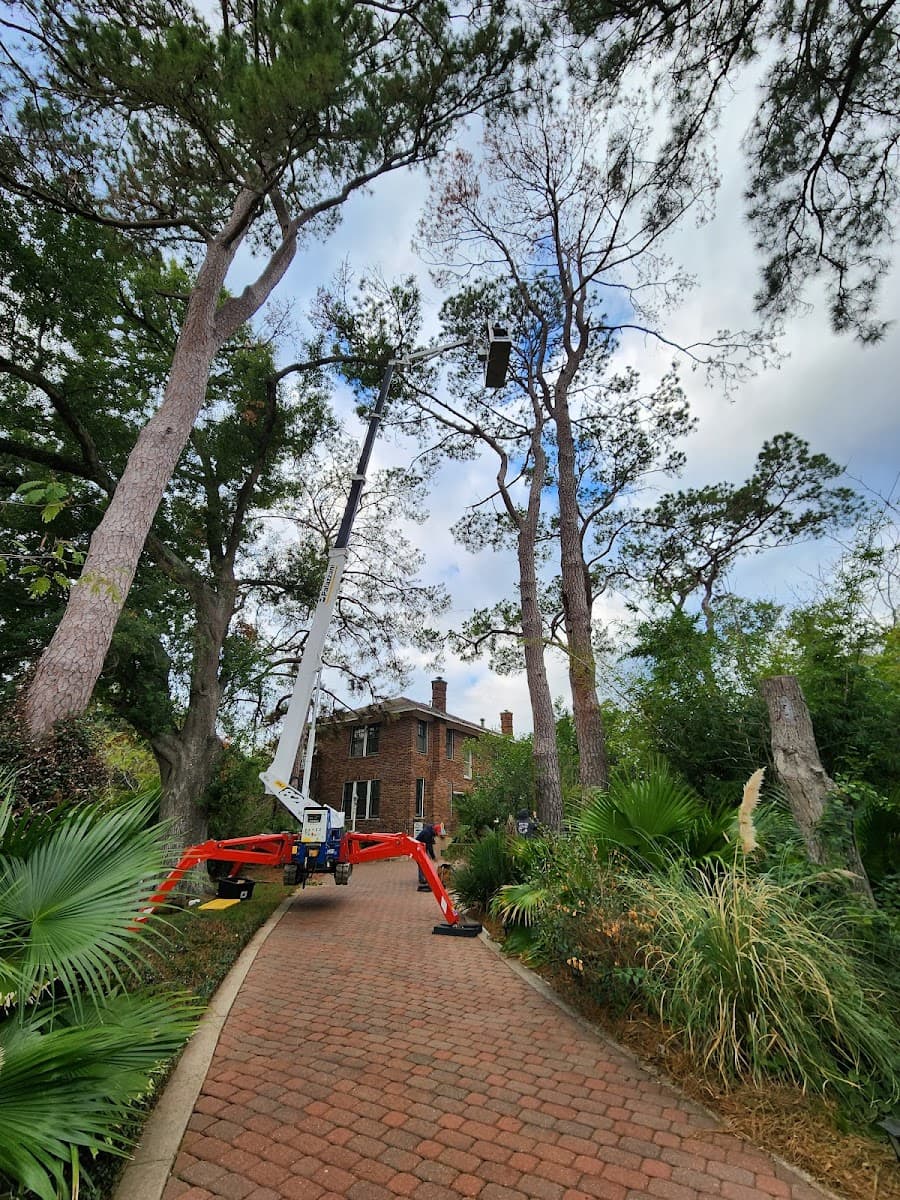 Sendero Technical Services LLC, DBA: Sendero Arbor Care