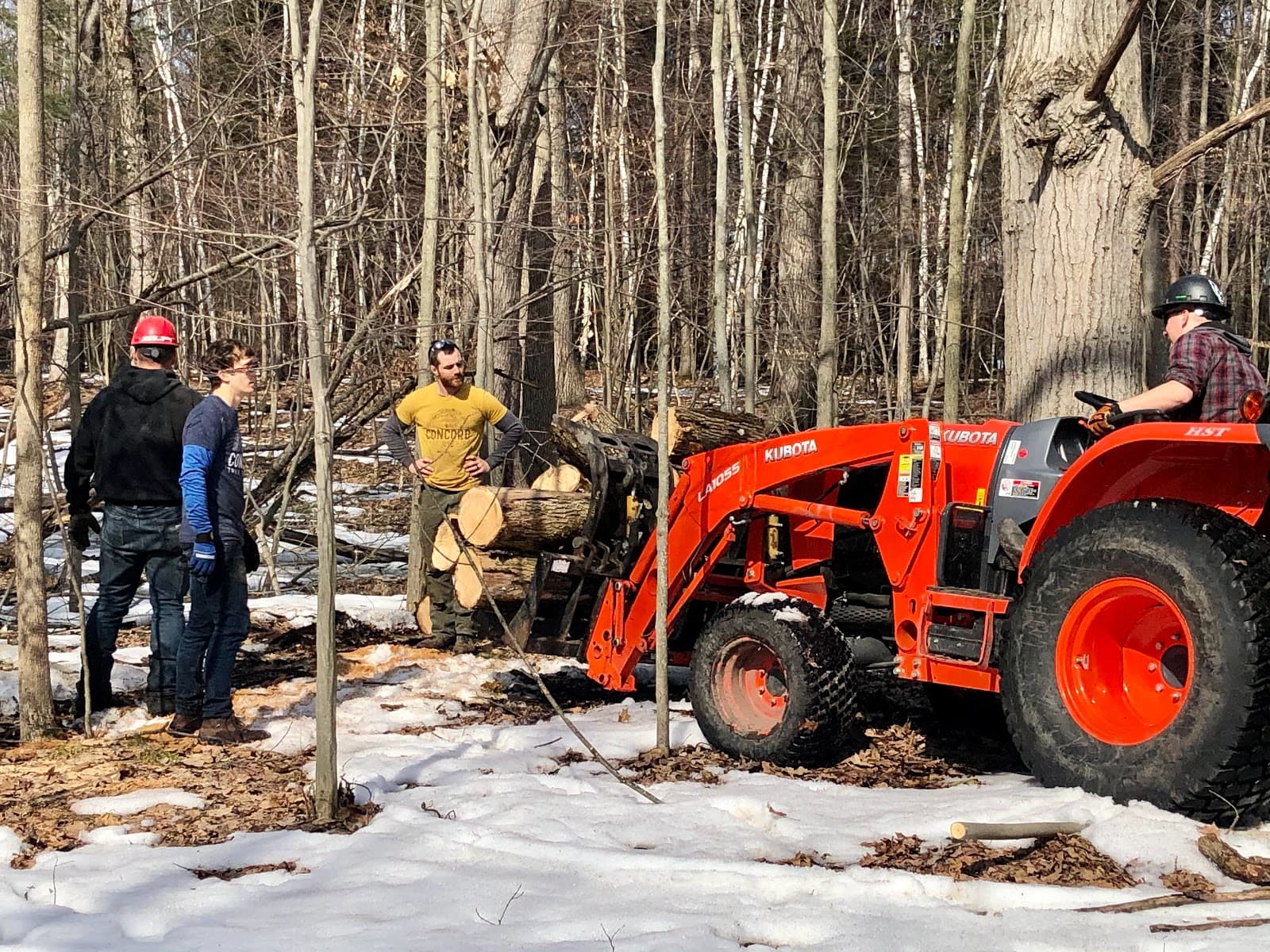 Concord Tree Service