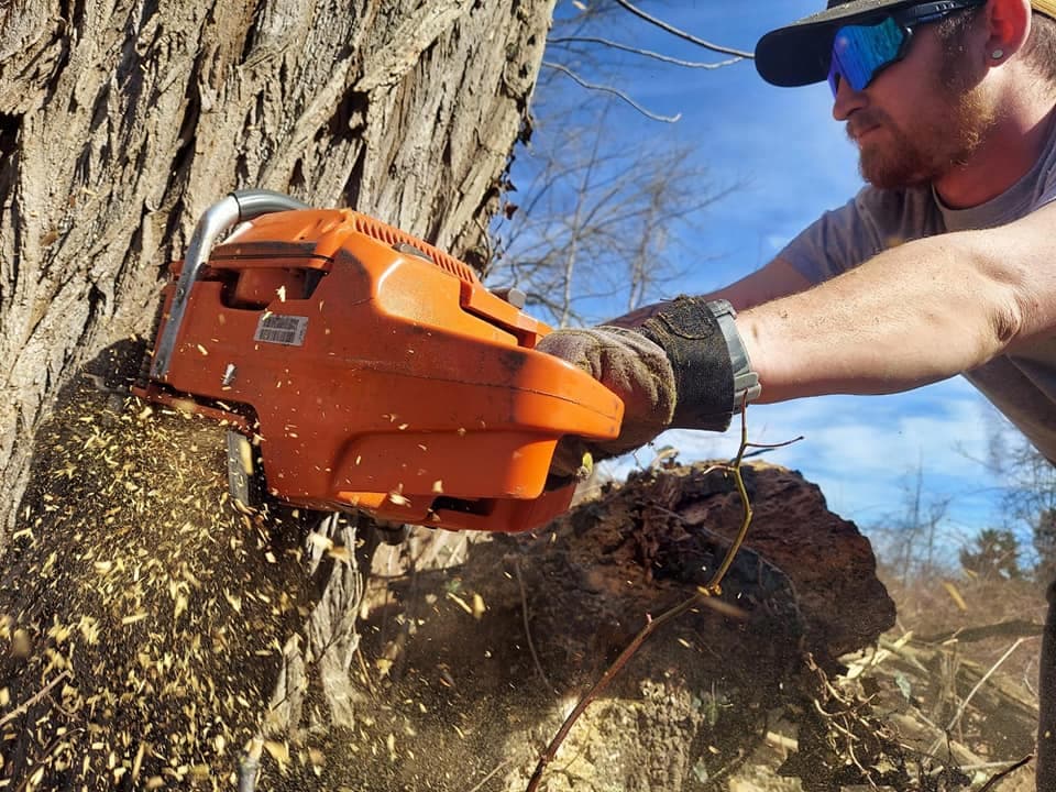 I.M. Good Tree Service