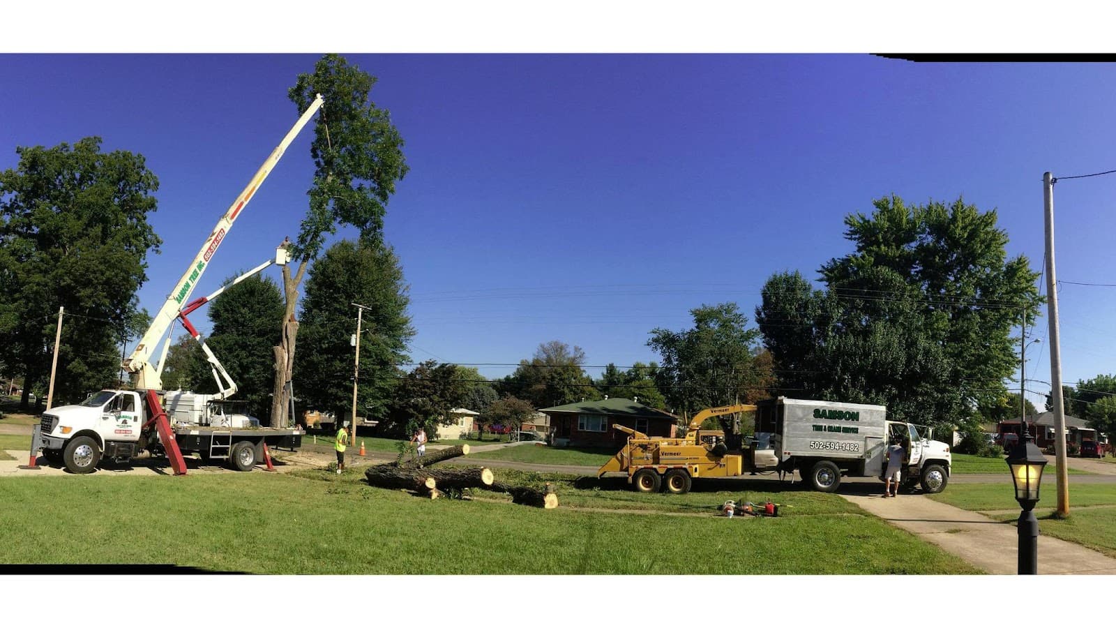 Samson Tree Service
