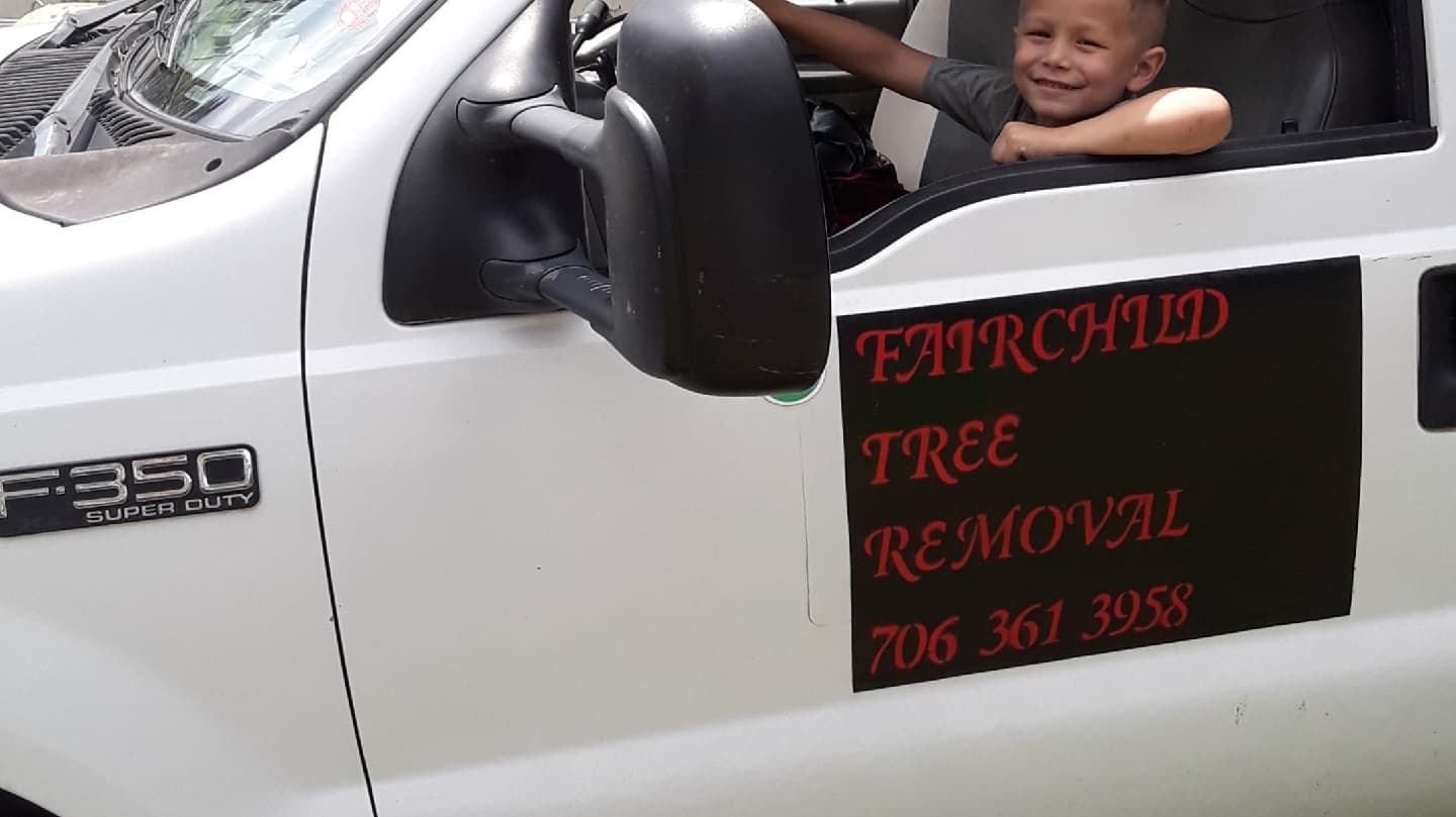 Fairchild Tree Removal