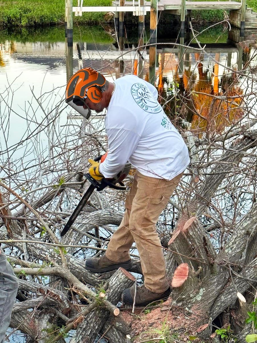 Grelite Tree Trimming & Stump Grinding LLC