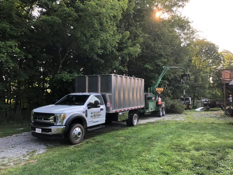 Kelley Brothers Tree Service