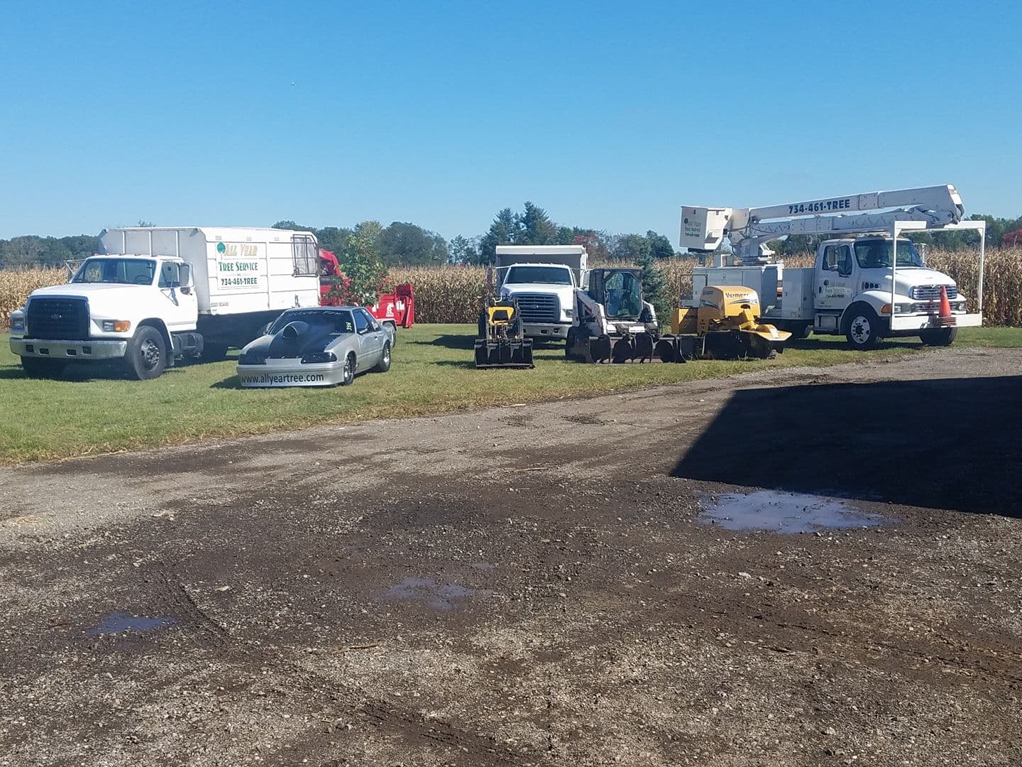 All Year Tree Services