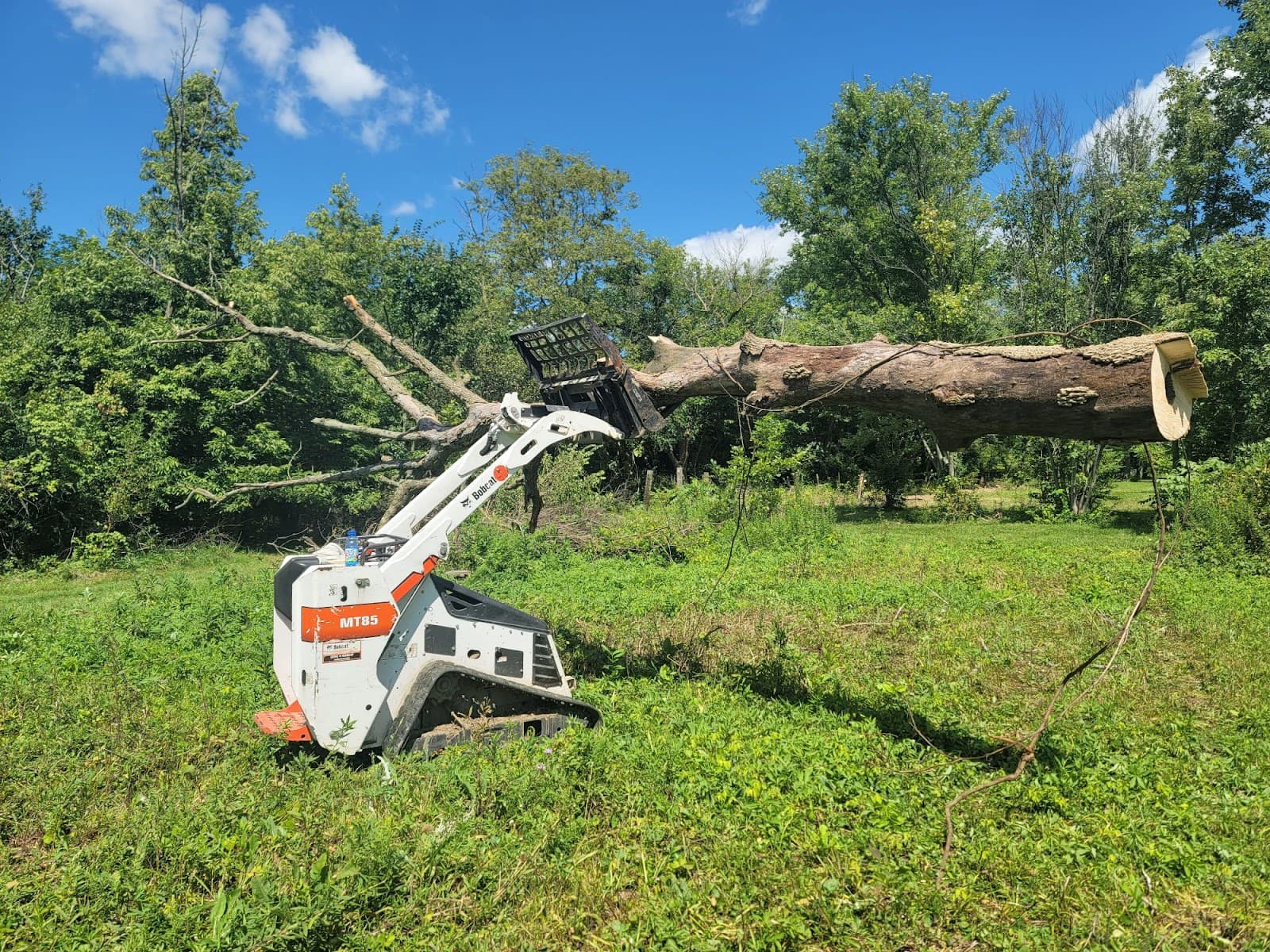 Johnson's Tree Service LLC