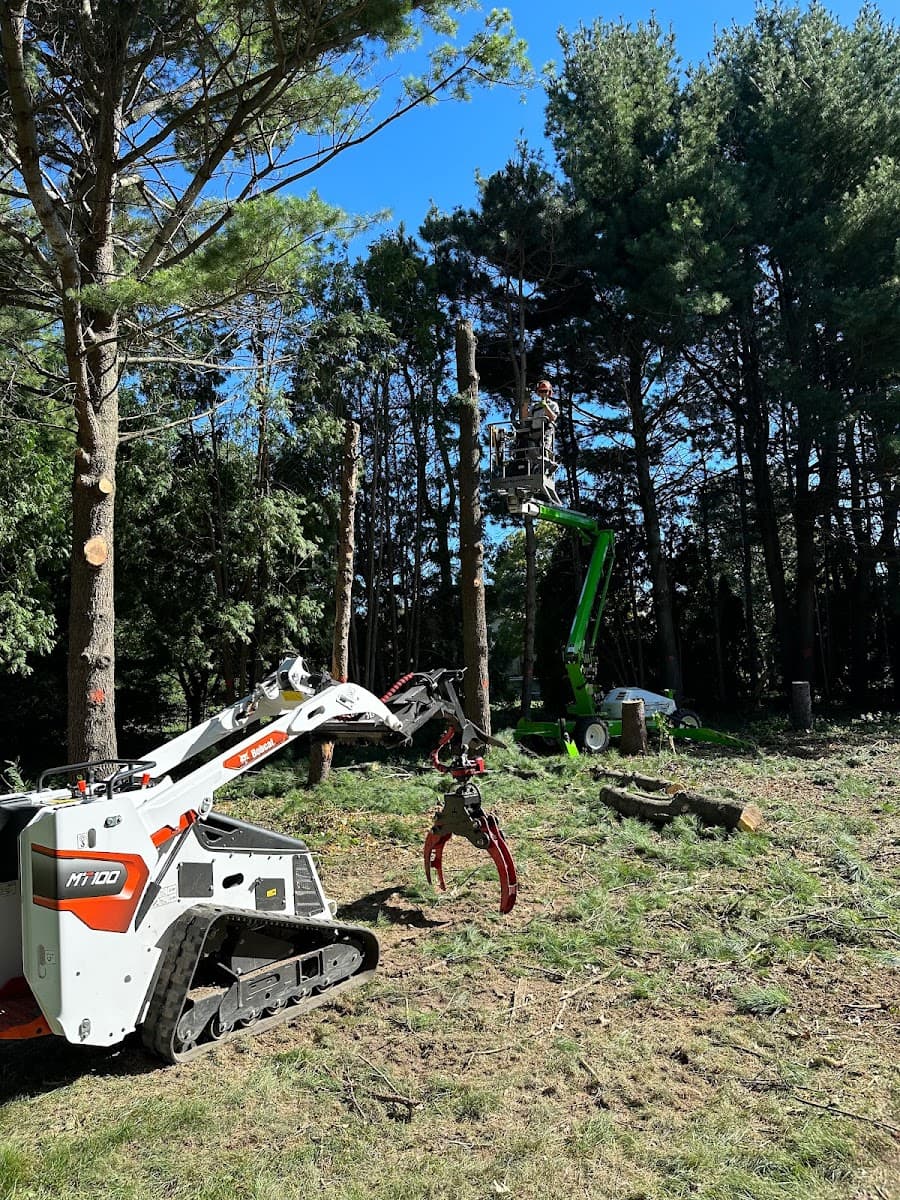 On A limb Tree Service llc.