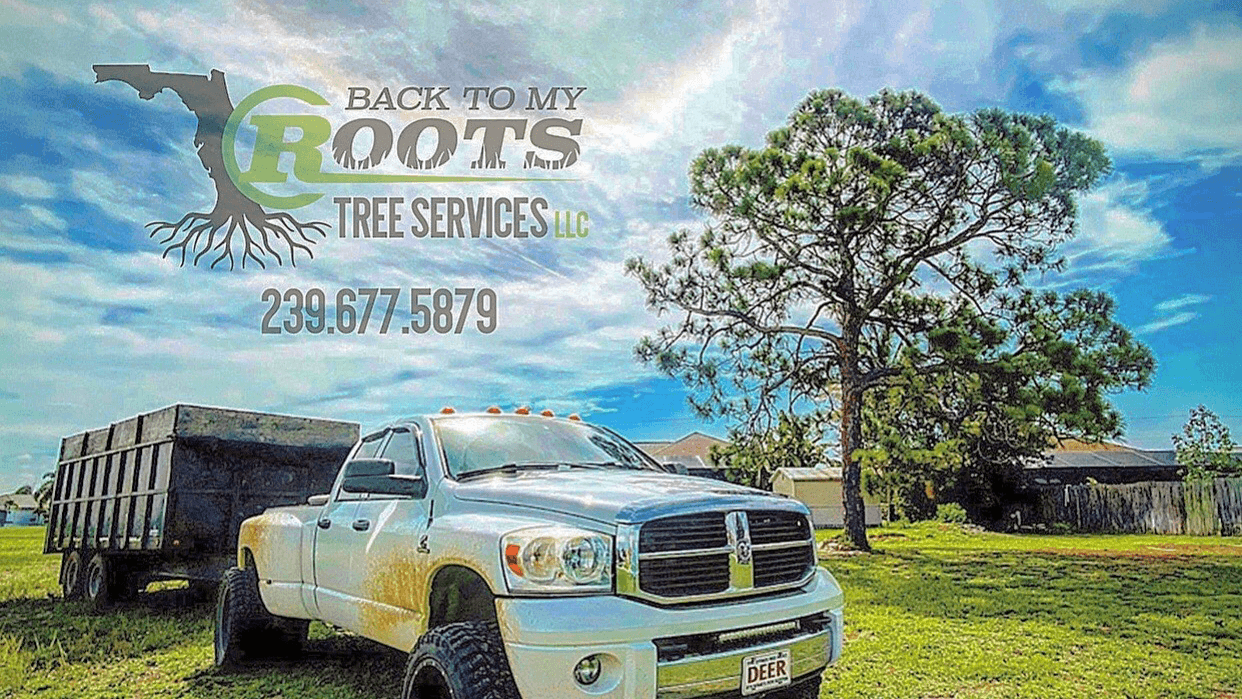 Back To My Roots Tree Services