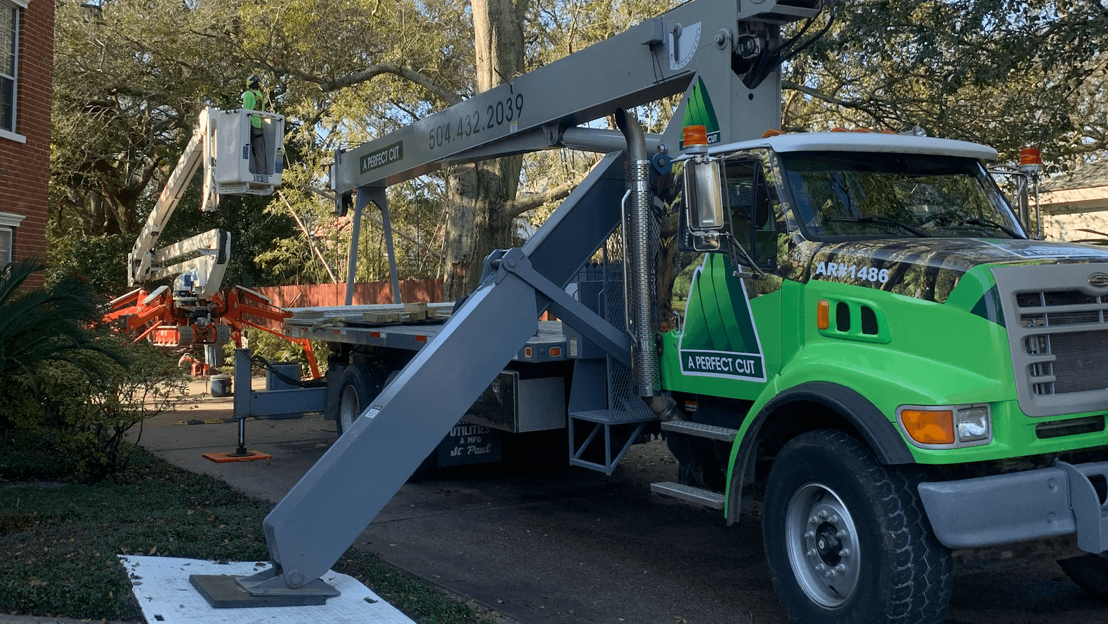 A Perfect Cut Tree Service