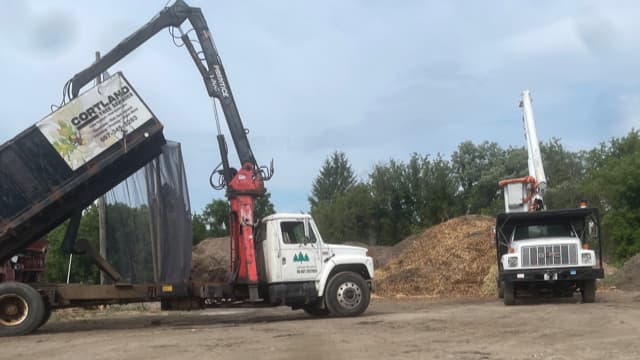 Cortland Tree Service