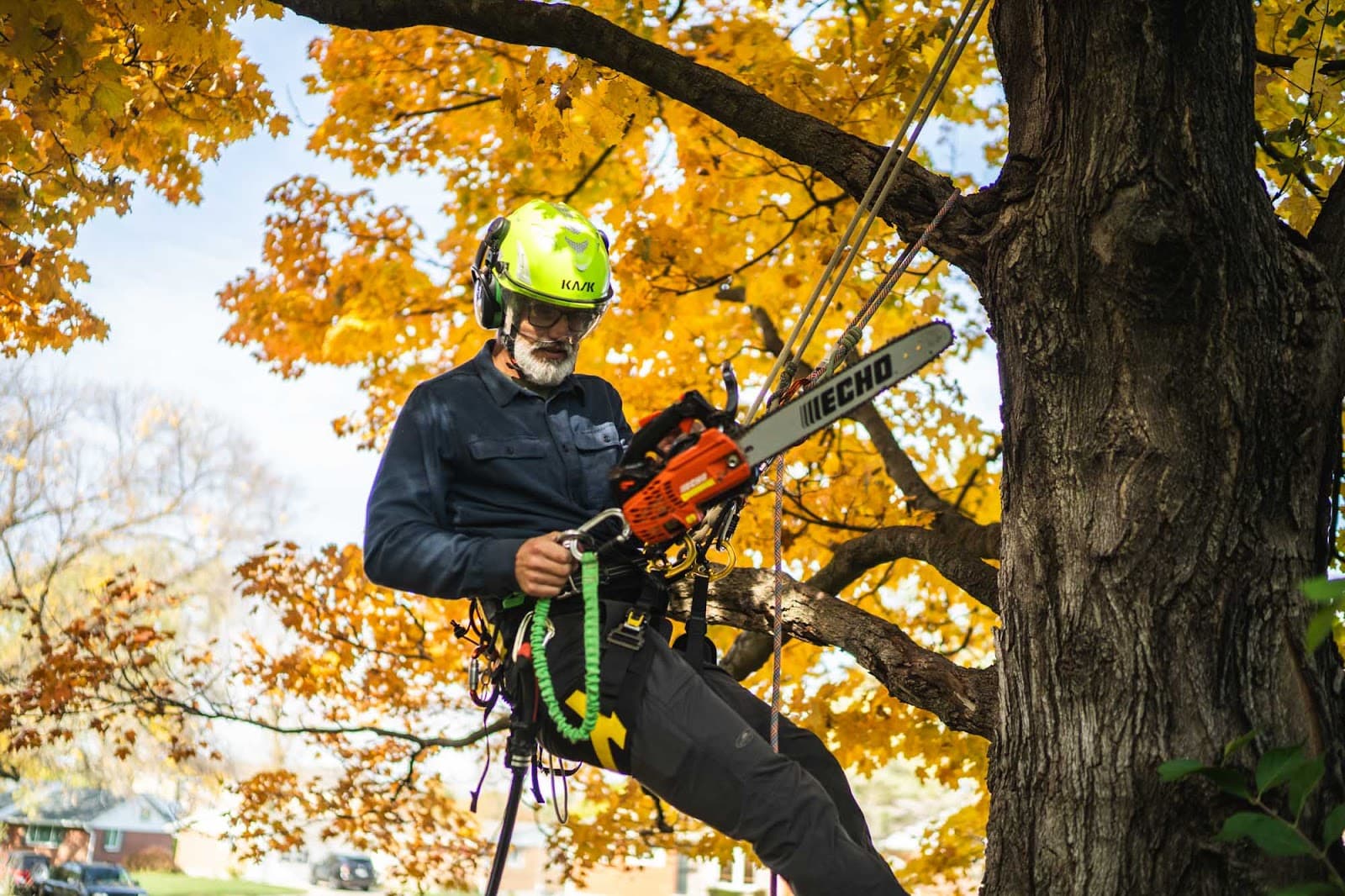 Jubilee Tree Service