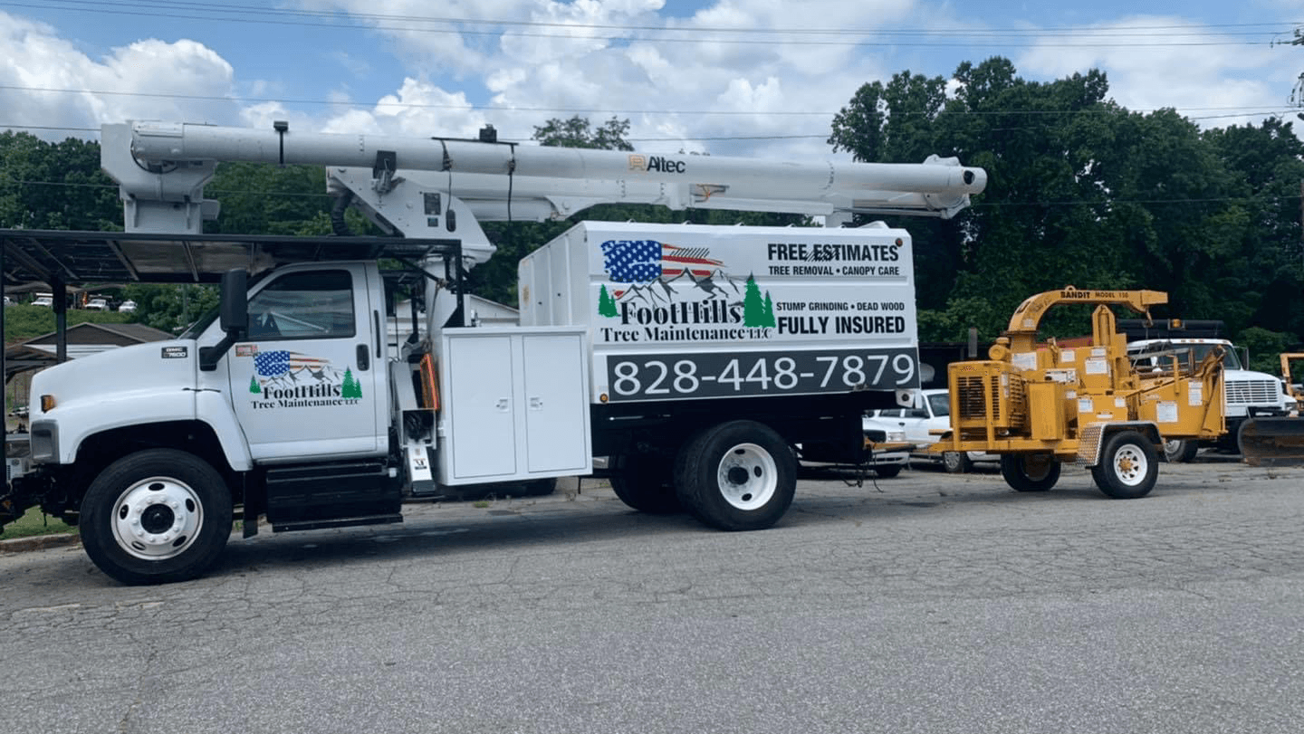 Foothills Tree Maintenance LLC
