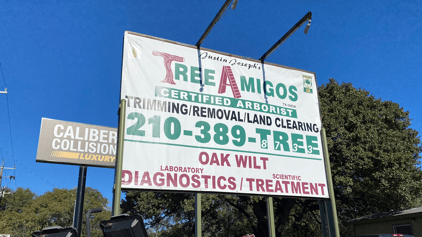 Tree Amigos Tree Service