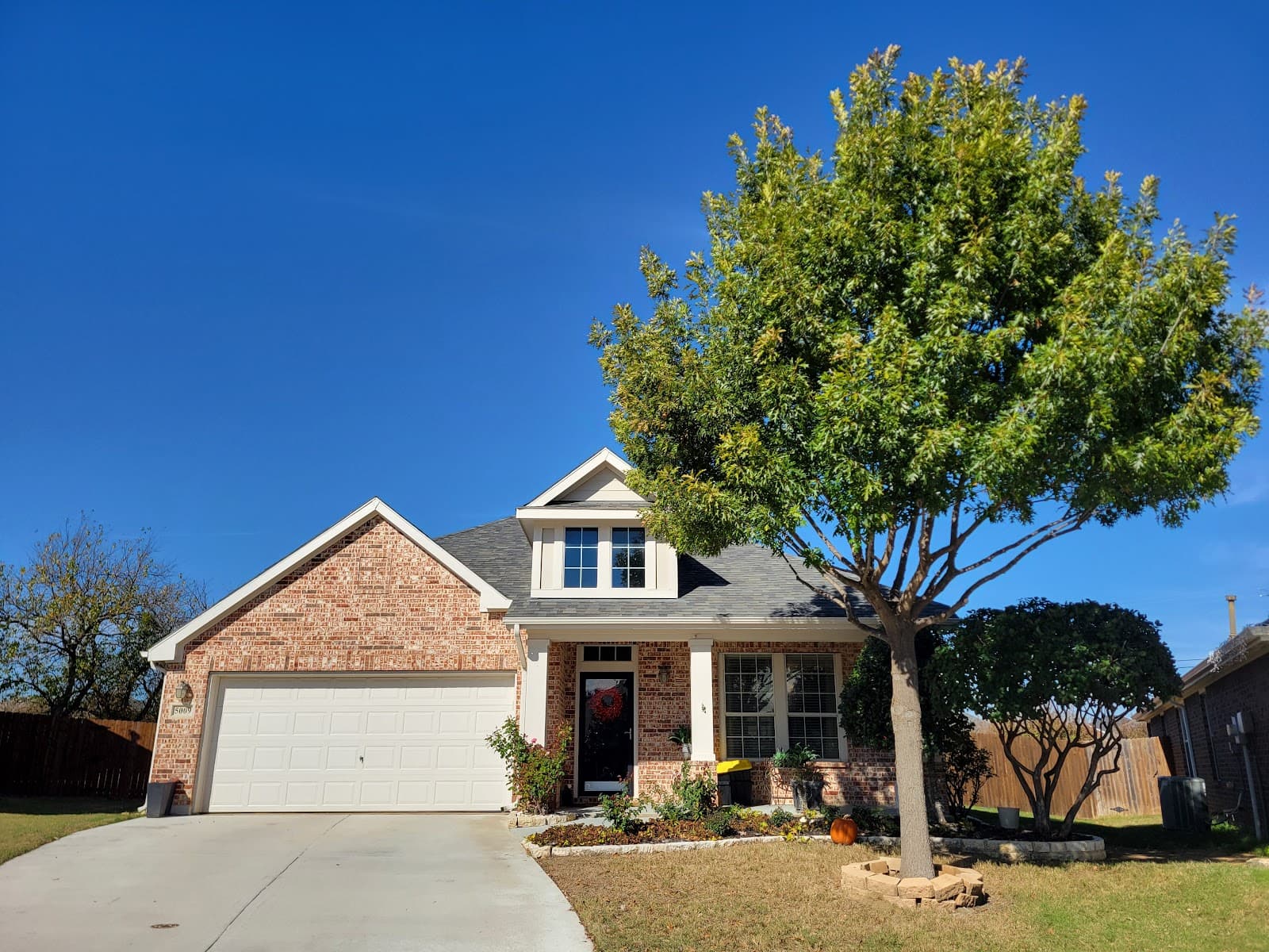 Ridgeline Tree Services