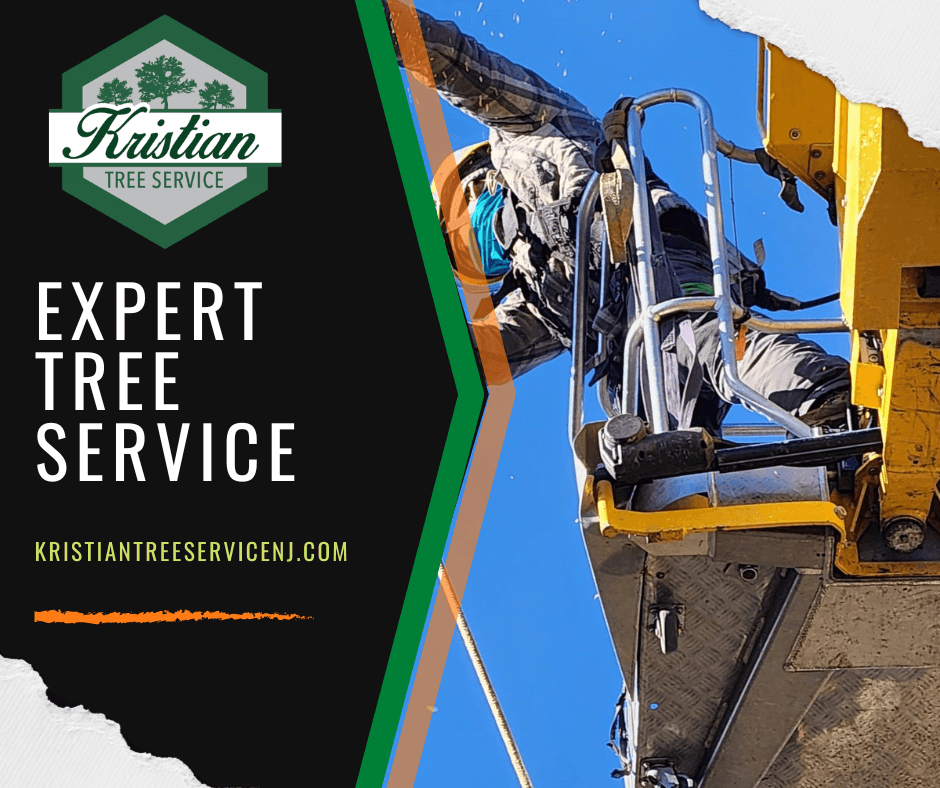 Kristian Tree Service