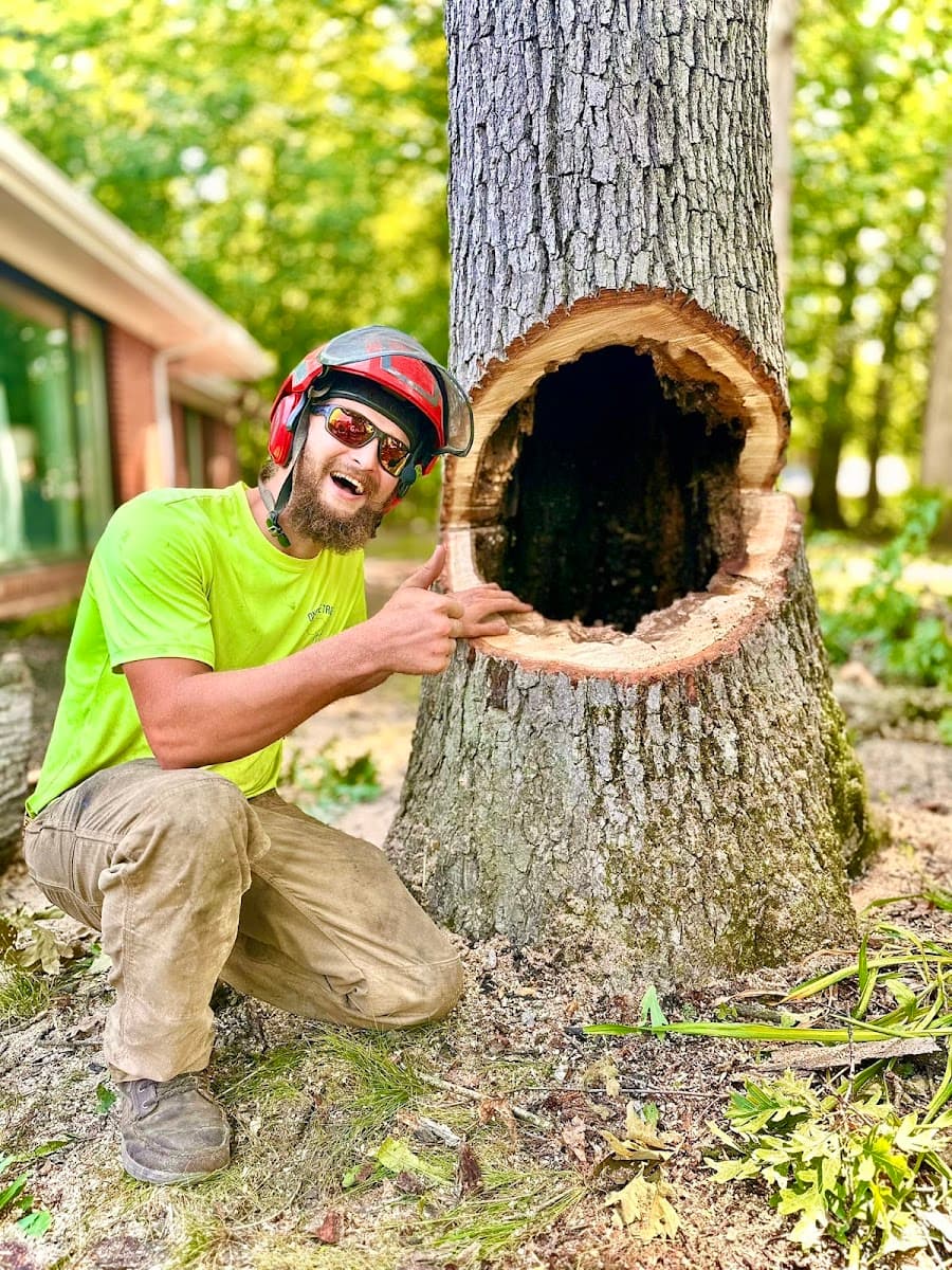 OnSite Tree Services