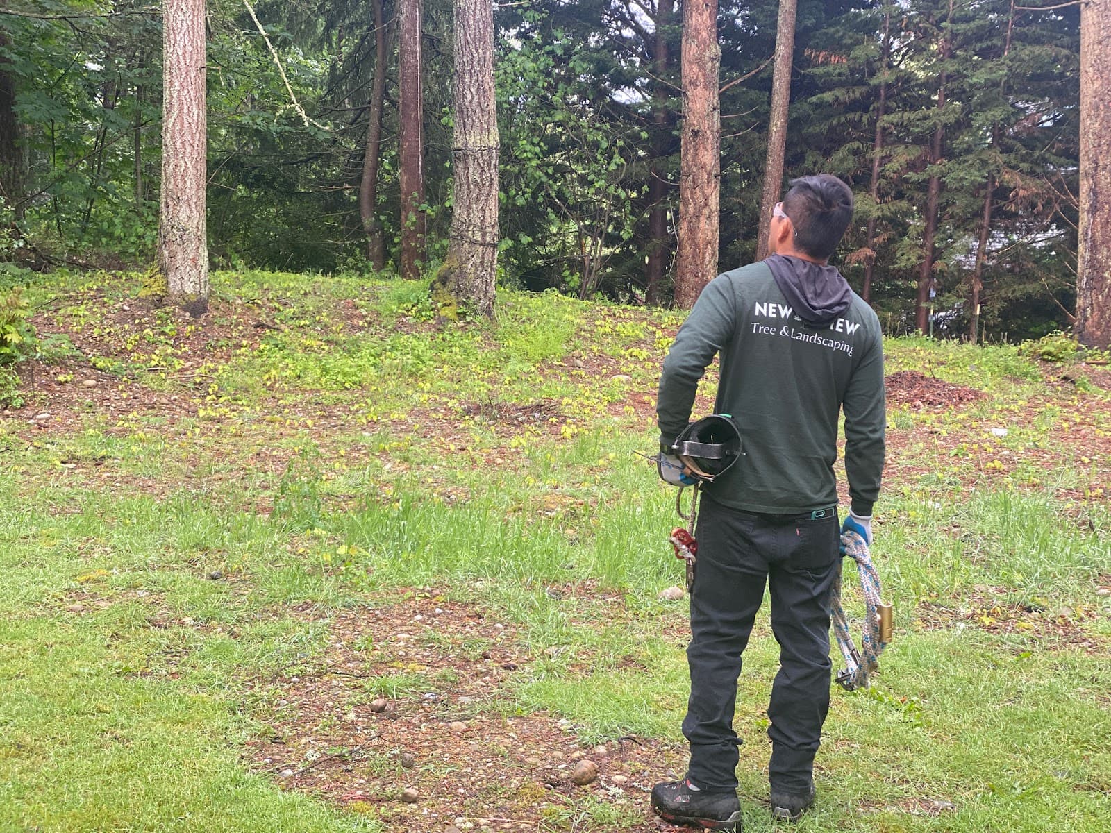 New View Tree and Landscaping