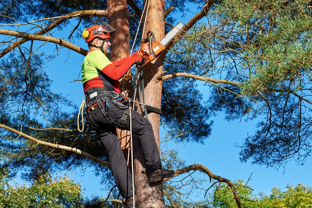 A Cutting Edge Tree Service