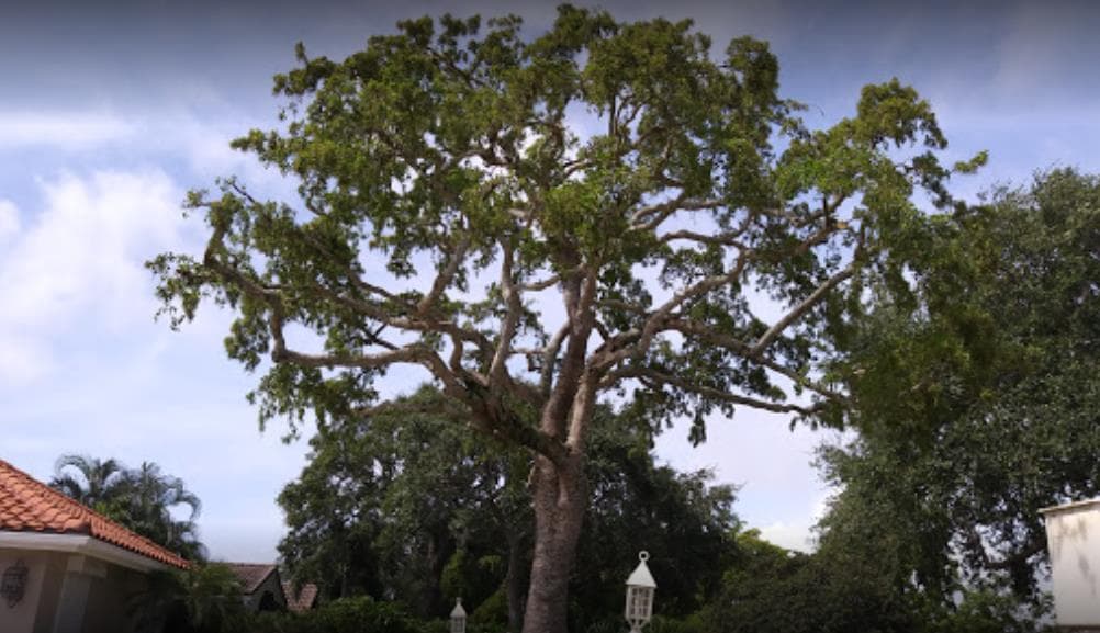 EBM Property Maintenance LLC