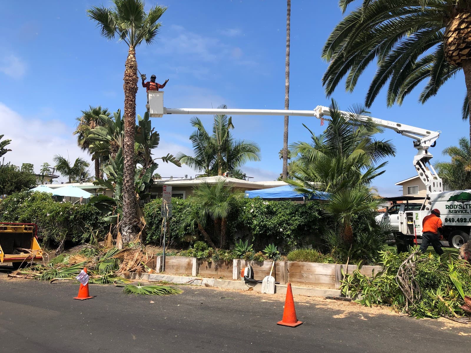 Rod's Tree Service, Inc.