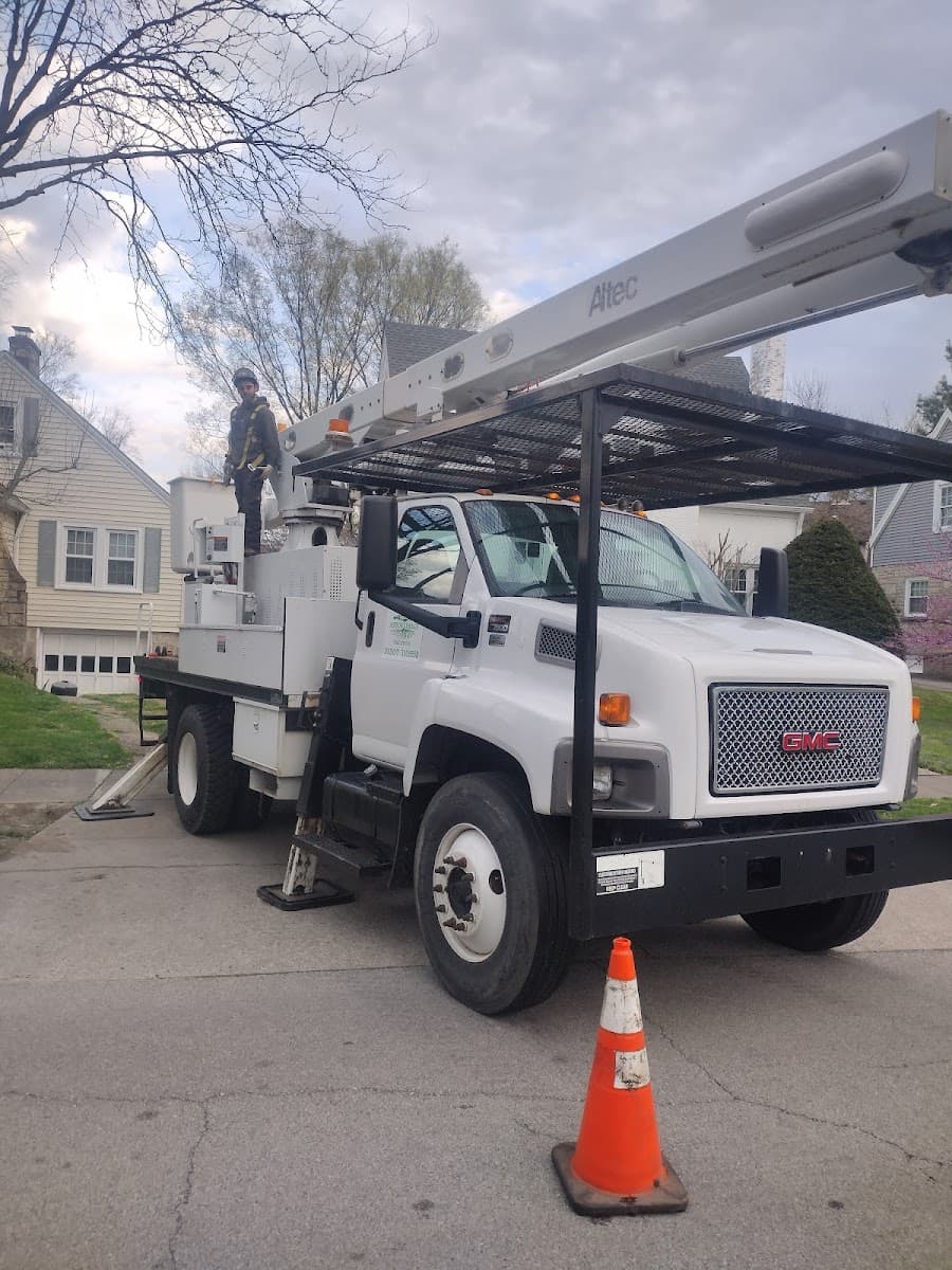 Arbor image tree service