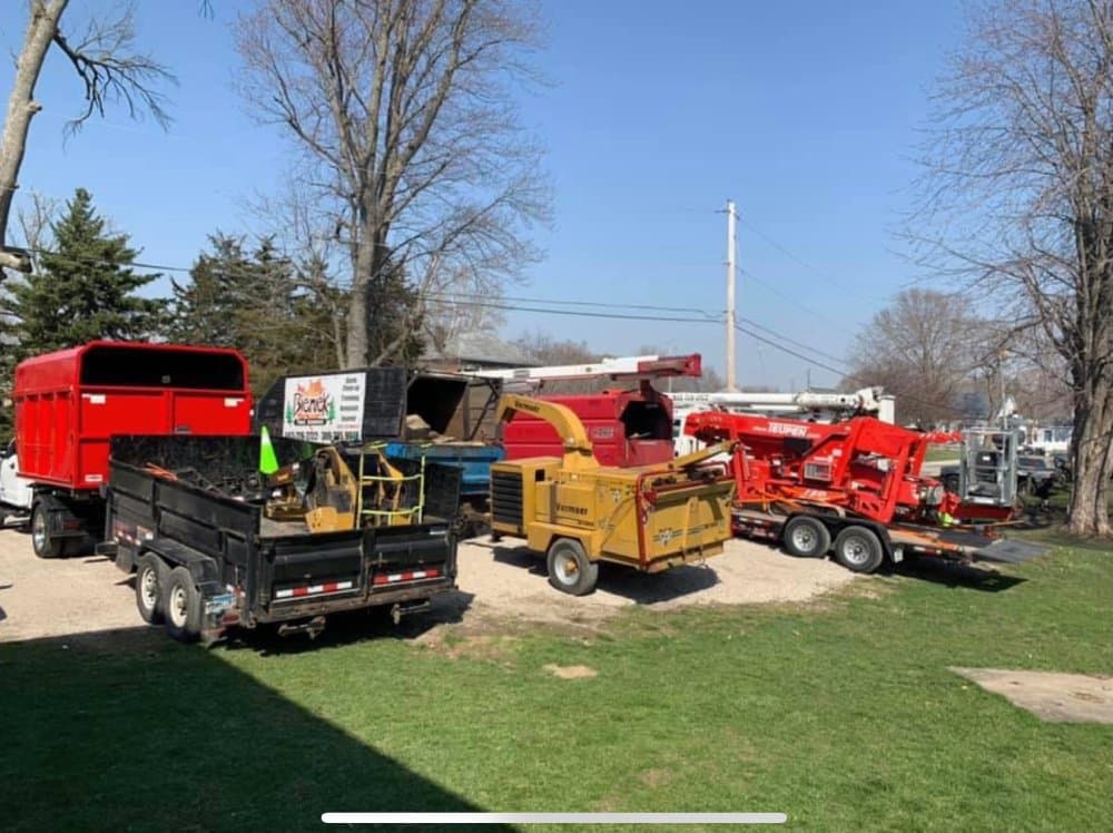 Bieniek Tree Service LLC