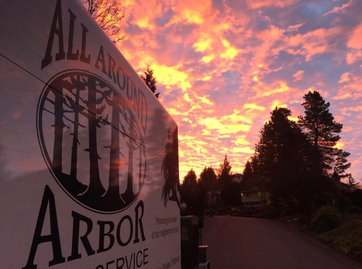 All Around Arbor Tree Service
