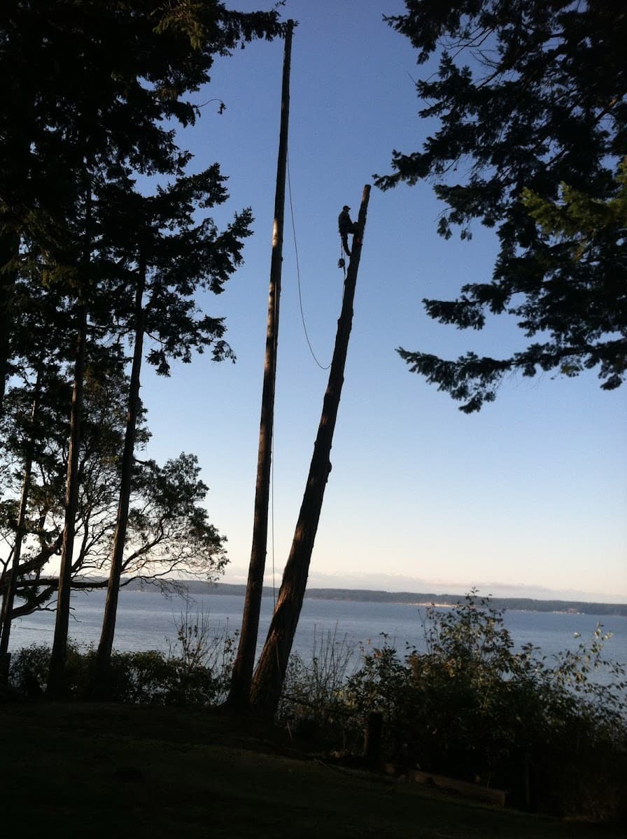 Puget Sound Tree Care LLC