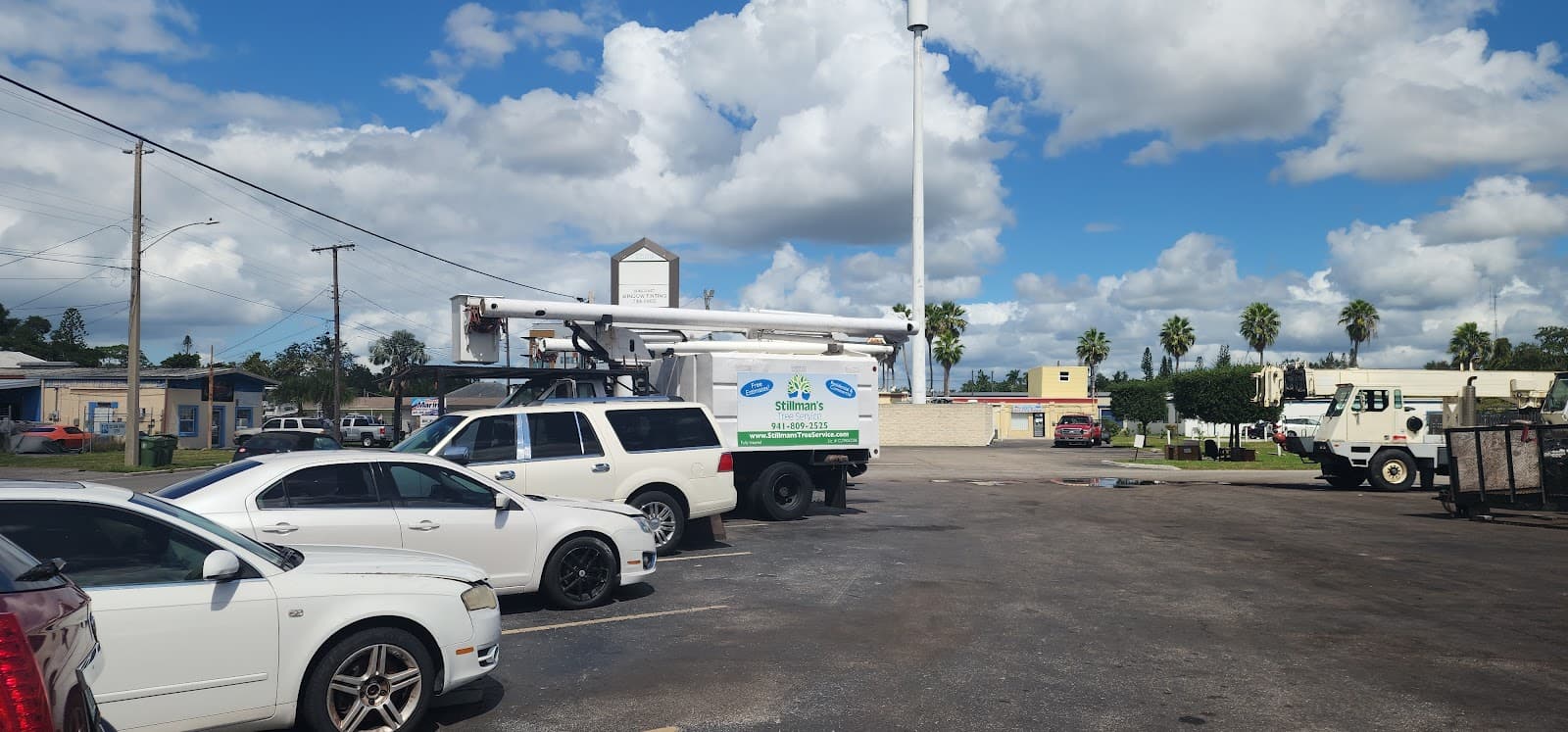 Stillman's Tree Service