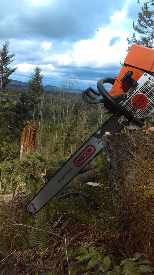 Easton Ridge Tree Service