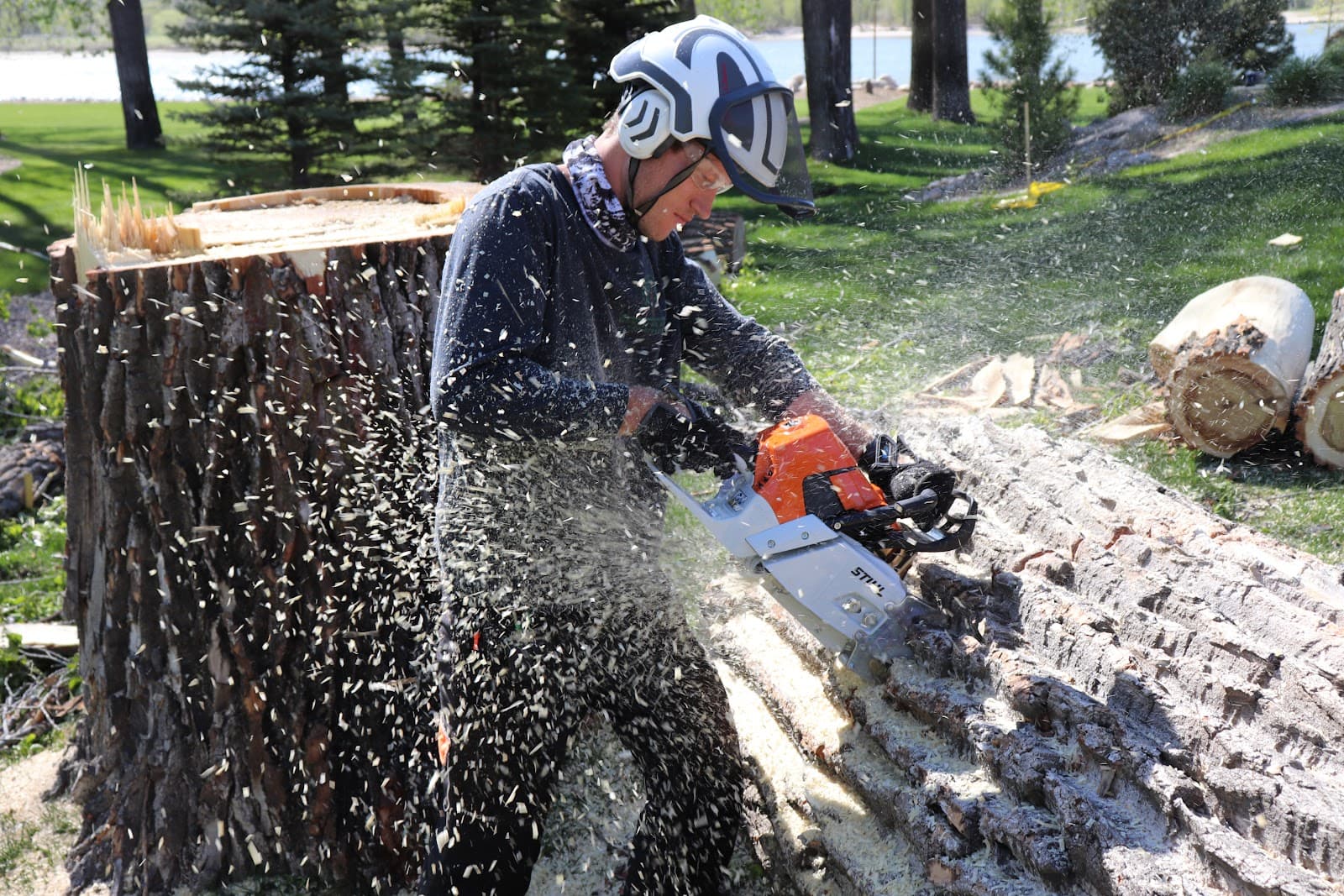 Green Planet Solutions Tree Service