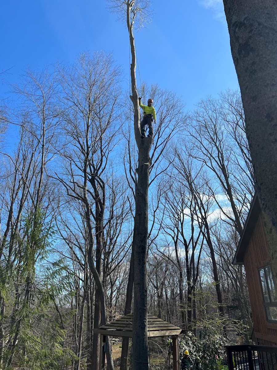 Kristian Tree Service