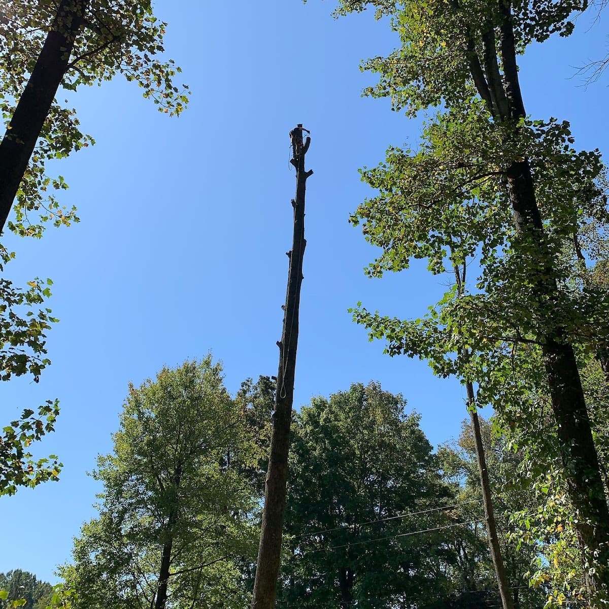 A.B.E. Lawn & Tree LLC