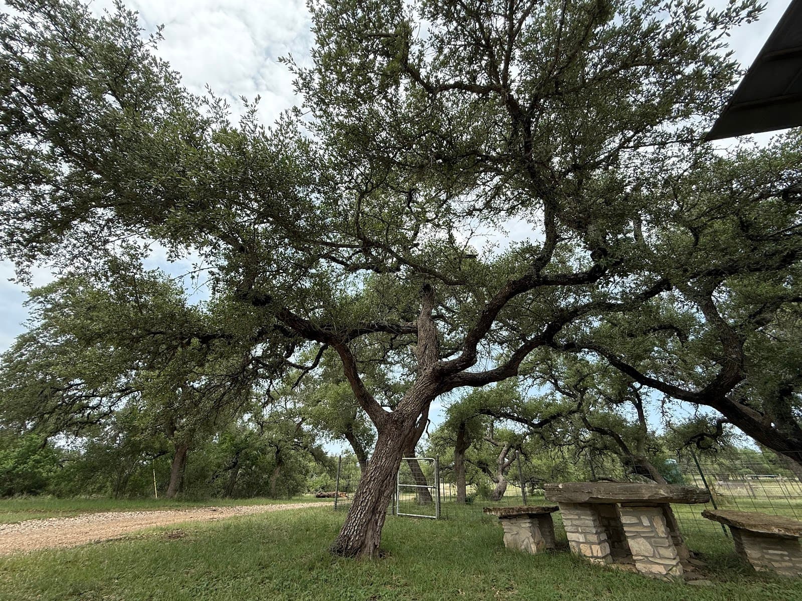 Wimberley Tree Service