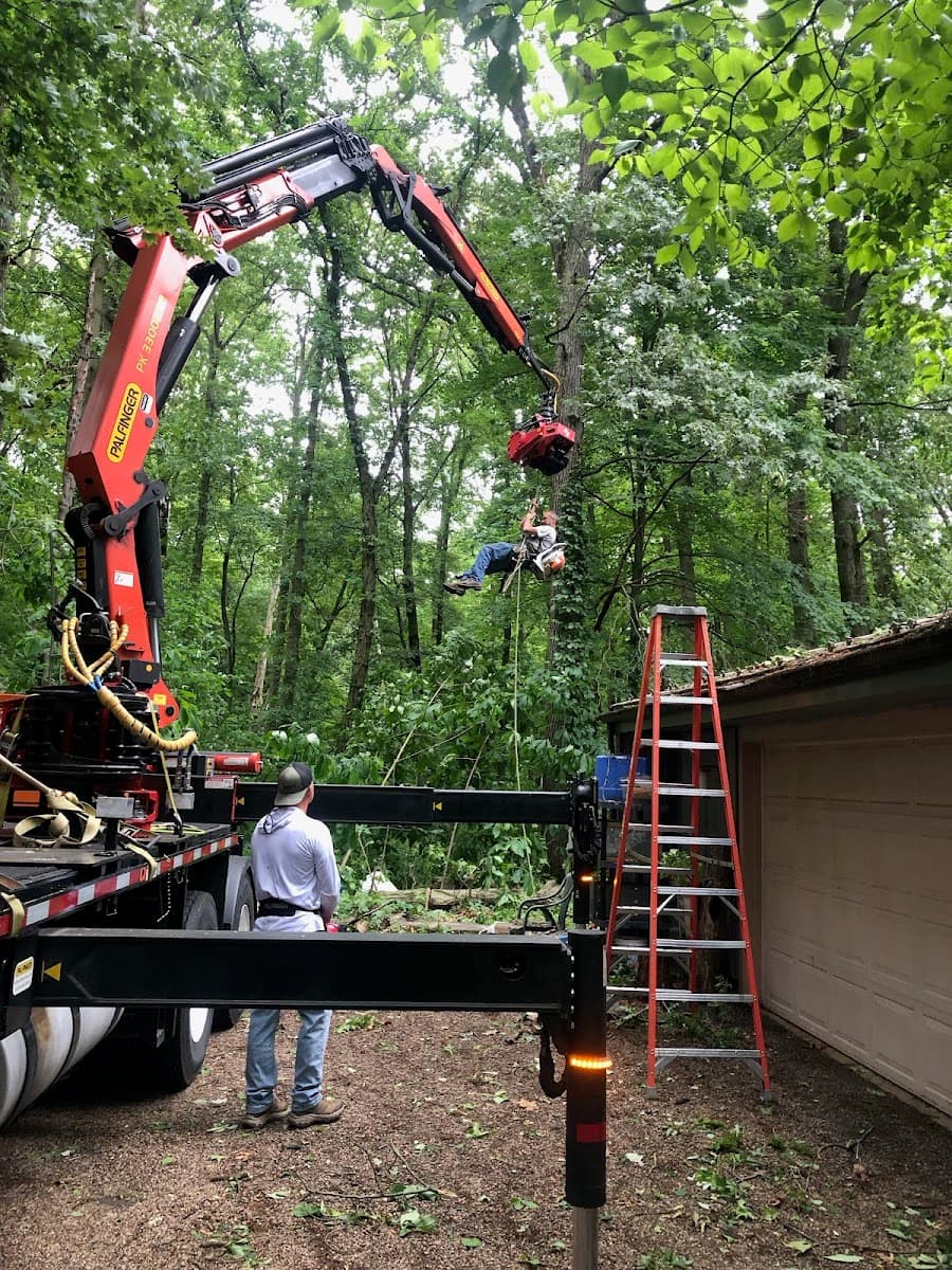 Livingston Tree Service