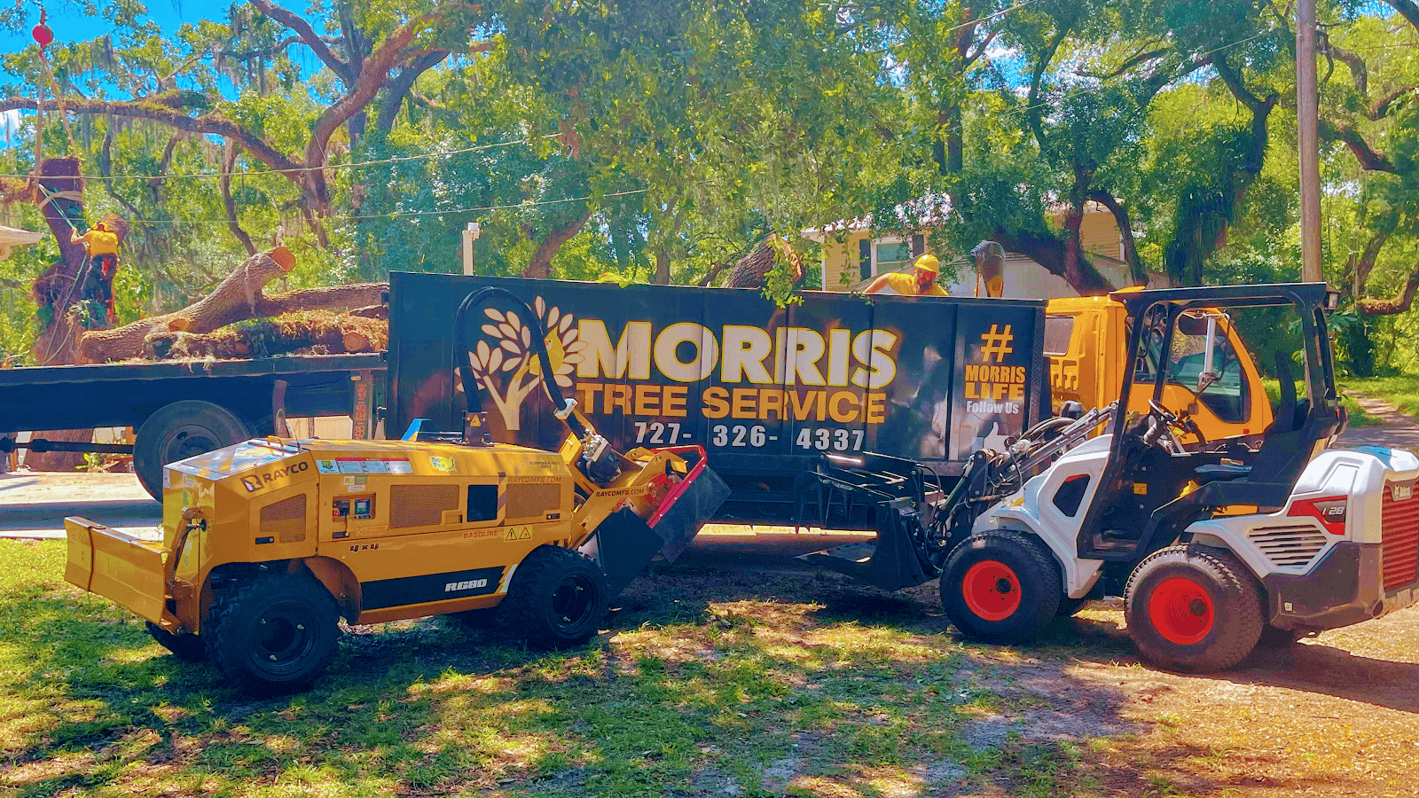 Morris Tree Service