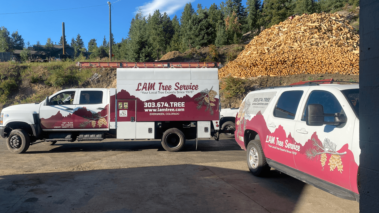 LAM Tree Service