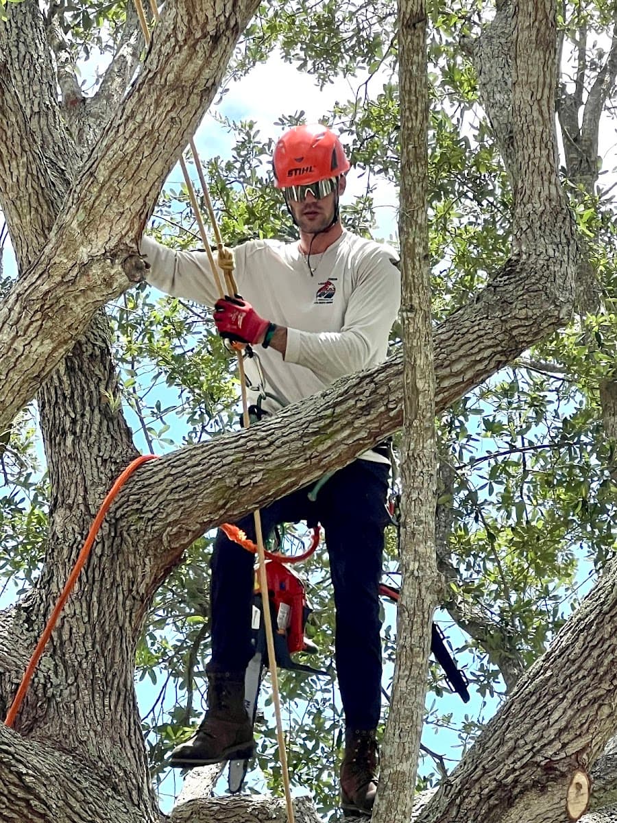 Leaf Legends Tree Services