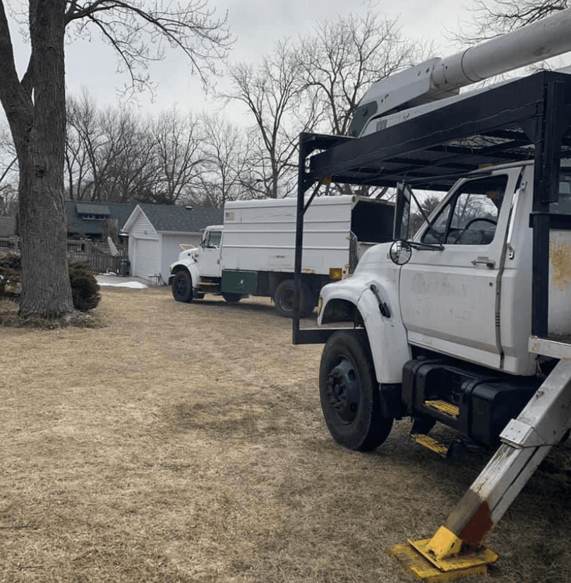 Twin Pines Tree Care Experts