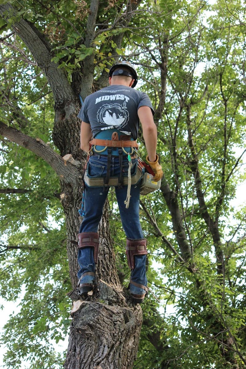 Midwest Tree Service LLC