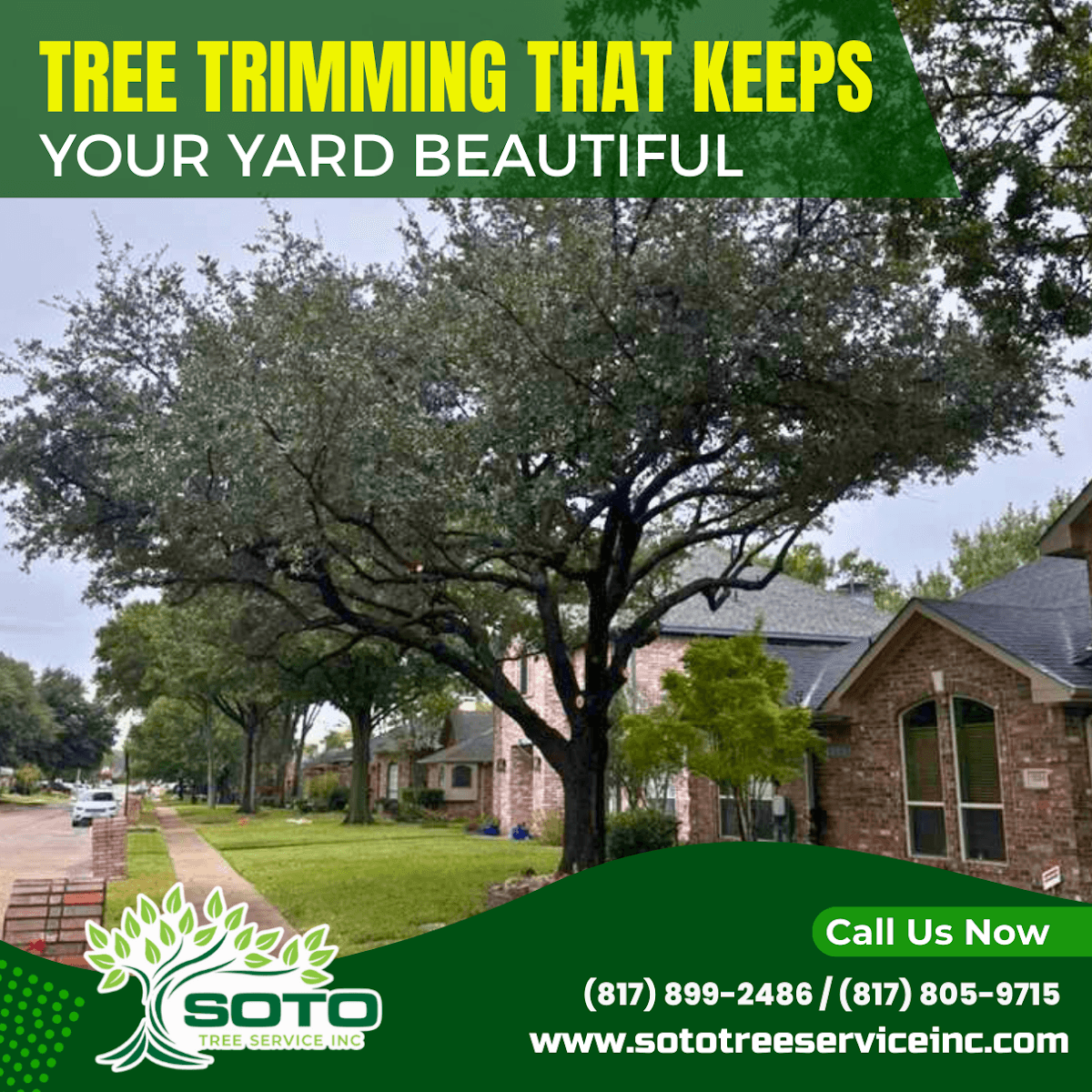 Soto Tree Service Inc