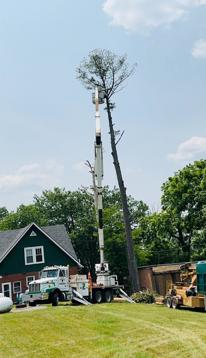 Orrison Tree Service