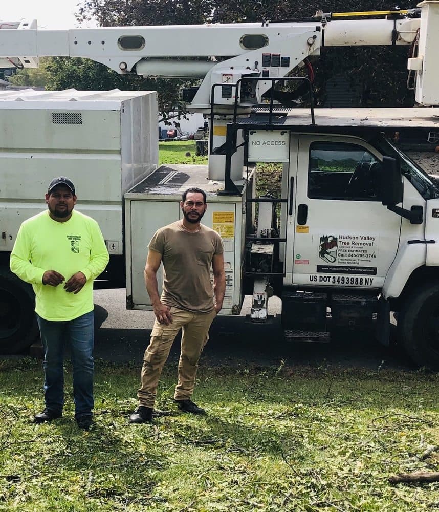 Hudson Valley Tree Removal