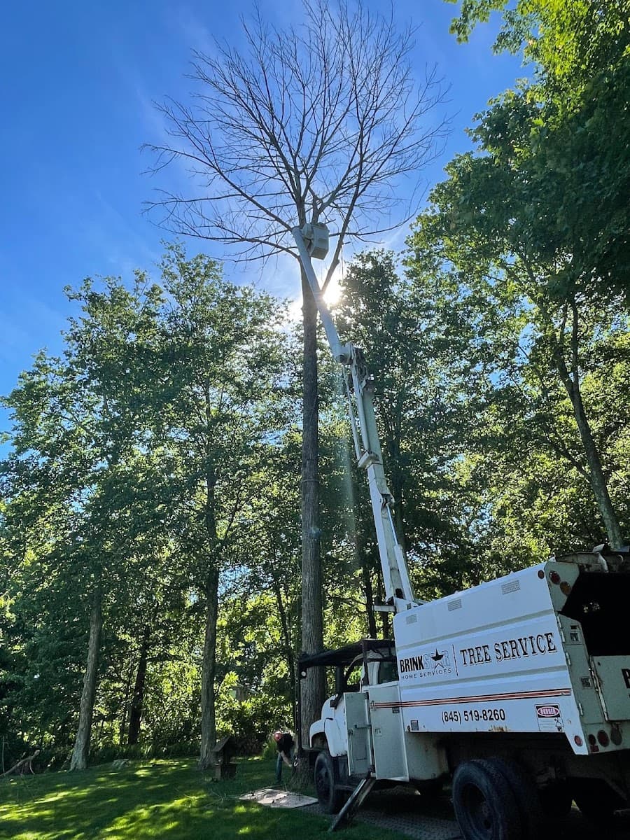 BrinkStar Tree Service