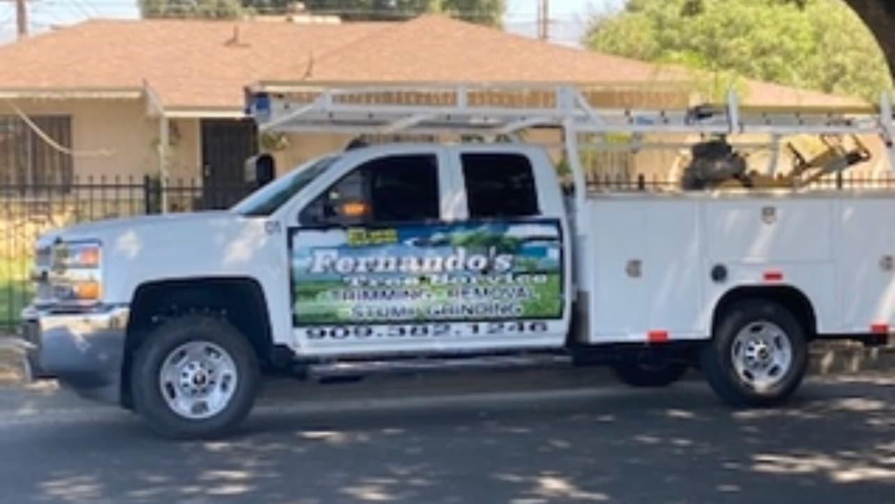 Fernando Tree Services