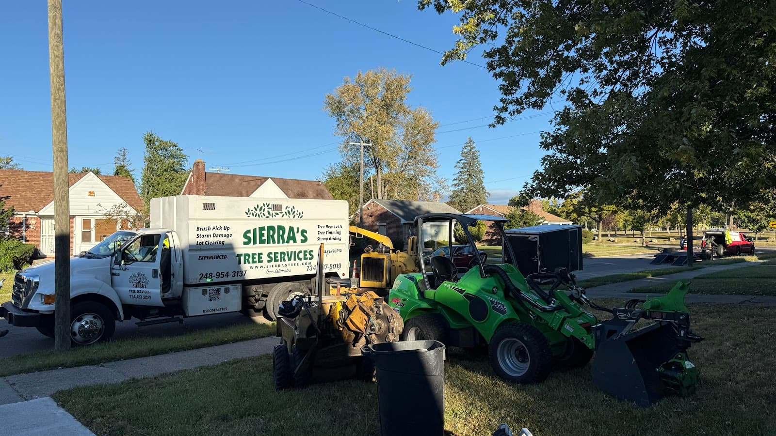 Sierra's tree services