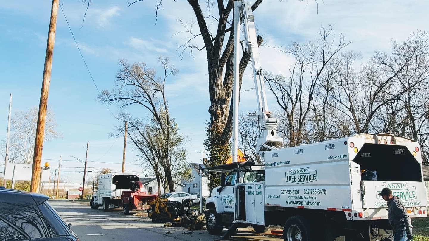 ASAP Tree and Crane Services