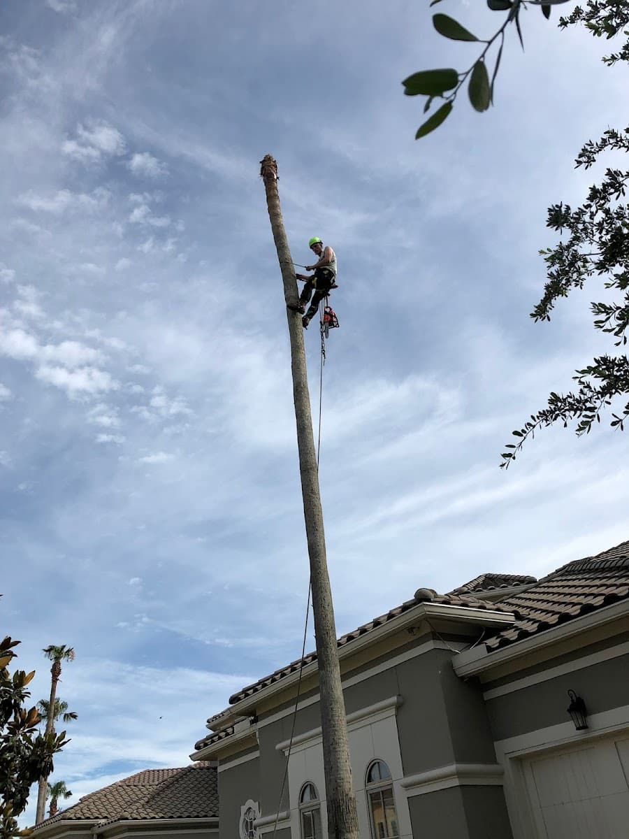 Tree Pros & Landscaping