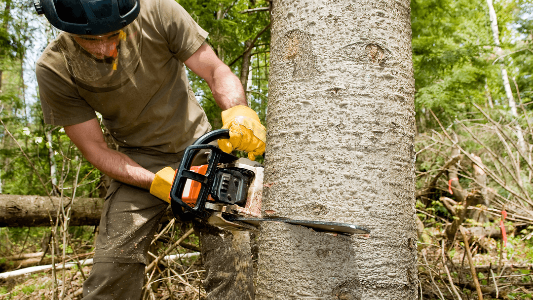 Staley Tree Service LLC